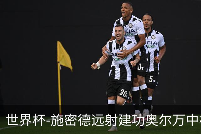 世界杯-施密德远射建功奥尔万中框 半场奥地利1-0约旦